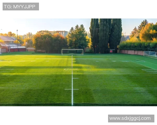 高清足球巨星唯美壁纸精选大全让你感受绿茵场上的激情魅力